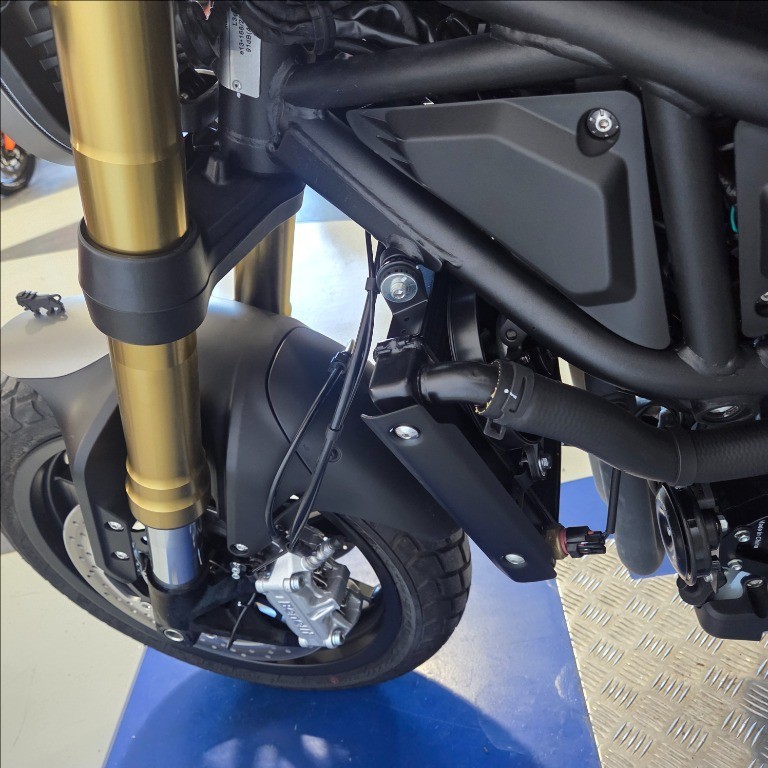 BENELLI Leoncino 800 